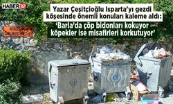 Yazar Çeşitçioğlu: Barla’da çöp bidonları kokuyor, köpekler ise misafirleri korkutuyor