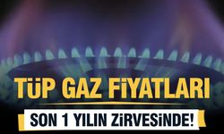 Tüp Gaz Fiyatları Rekor Seviyede!