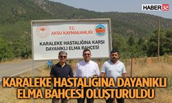 Aksu’da Karaleke Hastalığına Karşı Başarılı Proje