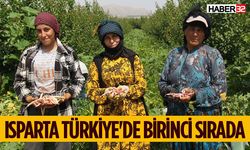 Isparta Barbunya Üretiminde Birinci Sırada