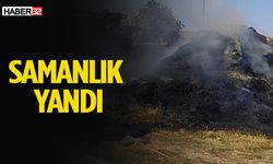 Çıkan yangında 200 adet saman balyası kül oldu