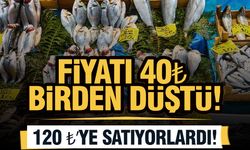 Tezgahlarda bolluk: Fiyatı 40 TL birden düştü!