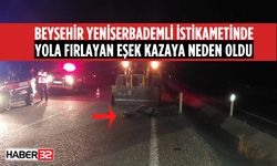 Beyşehir'de Otomobil Aniden Yola Çıkan Eşeğe Çarptı