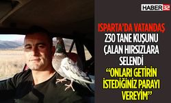 Isparta'da Kuş Hırsızlığı Tam 230 Güvercin Kayıp