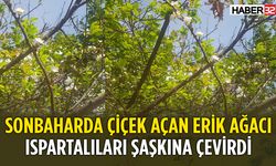 Isparta'da Doğanın Sıradışı Oyunu