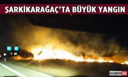 Şarkikarağaç'ta Tarım Arazisinde Anız Yangını!