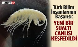 Türkiye'nin en derin üçüncü mağarasında yeni bir sualtı canlısı türü keşfedildi!