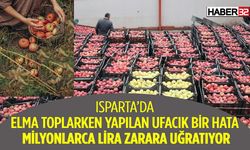 Isparta'da Elma Toplama Hatası Pahalıya Mal Oldu