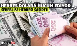 Türkiye'de Dolar Talebi Artıyor: İşte Nedeni