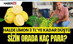 Antalya'da Limon 3 Lira Oldu Isparta'da Kaç Para?