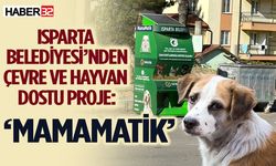 Isparta’da Sokak Hayvanları ‘Mamamatik’le Besleniyor