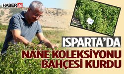 Isparta'da kurulan bahçe, mentollü nane yağında dışa bağımlılıktan kurtaracak