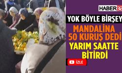 Isparta'da 50 Kuruşa Mandalina Yarım Saatte Bitti