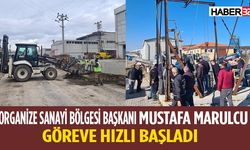 Başkan Mustafa Marulcu Tüm OSB'yi Temizledi