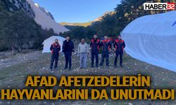 AFAD afetzedelerin hayvanları için çadır kurdu