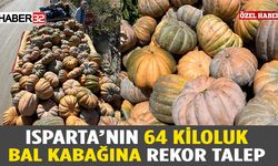 Isparta'da 64 Kiloluk Bal Kabakları Toplanıyor