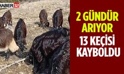 2 Gündür Kaybolan 13 Keçisini Arıyor