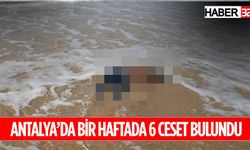 Antalya'da Bir Otelin Sahiline Ceset Vurdu