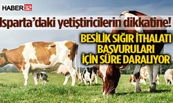 Besilik Sığır İthalatı Başvuruları İçin Süre Daraldı