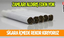 Türkiye'de Her 4 Kişiden Biri Sigara İçiyor
