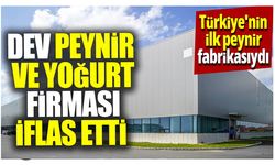 Türkiye'nin İlk Peynir Fabrikası Yörsan İflas Etti: