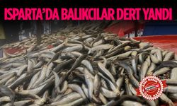 Isparta'da Balığın Fiyatı Değişmedi, Ama Alan Yok