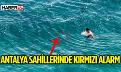Antalya'da Denize Girenler Tedirgin