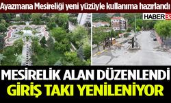 Ayazmana Mesireliği yeniden düzenlendi