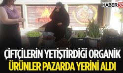 Isparta Köylü Pazarı'nda Organik Kirazlar Tezgahlarda