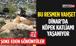 Dinar'da Şok Edici Görüntüler Köpekler Öldürüldü