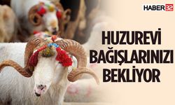 Isparta Huzurevi vekaleten kurban bağışlarınızı bekliyor