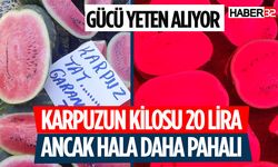 Salı Pazarında Karpuz Satışları Düşük