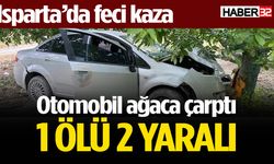 Kontrolden çıkarak ağaca çarptı: 1 ölü, 2 yaralı