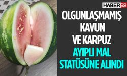 Olgunlaşmamış Karpuz ve Kavun Ayıplı Ürün Statüsünde