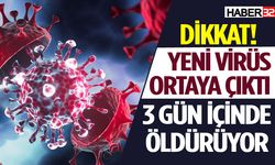 3 gün içinde öldüren yeni virüs ortaya çıktı