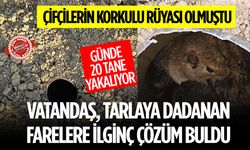 Ispartalı Vatandaş Tarla Farelerine Çözüm Buldu