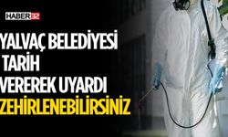 Yalvaç Belediyesi Böceklere Karşı Harekete Geçiyor