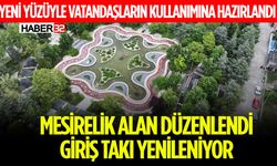 Mesirelik Alan Düzenlendi İşte Yeni Hali