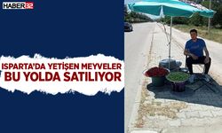 Isparta meyvelerinin reklamı Sav yolunda yapılıyor