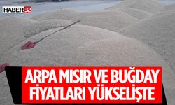 Buğday Arpa Ve Mısır Fiyatlarında Artış