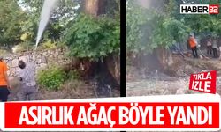 Asırlık Kavak Ağacı Böyle Yandı Köylüler İsyan Etti