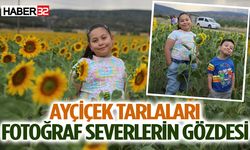 Ayçiçek tarlaları fotoğraf severlerin gözdesi