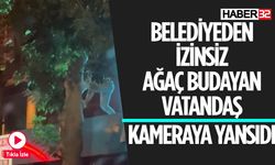 Belediyeden İzinsiz Ağacı Budadı