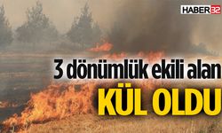 3 dönümlük ekili alan yangında zarar gördü