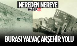 Amerikalı Araştırmacıların Objektifinden