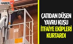 Çatıdan Düşen Kuşun Yardımına İtfaiye Yetişti