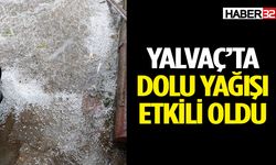 Dolu yağışı Isparta'nın bazı bölgelerini beyaza bürüdü