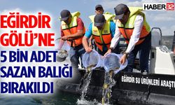 Eğirdir Gölü’ne 5 bin adet sazan balığı bırakıldı