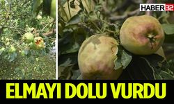 Dolu yağışı elma bahçelerine zarar verdi