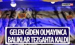 Balığa Bir Tek Kediler İlgi Gösteriyor